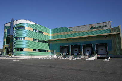 Monteverde - portada