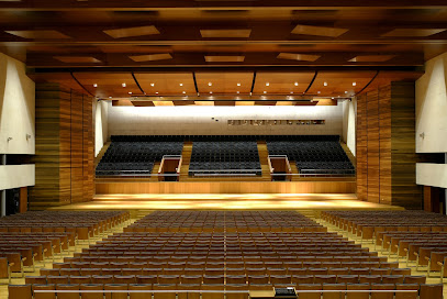 O Congreso - portada