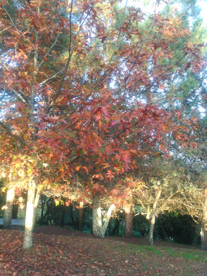 O Rincón de Noya - portada