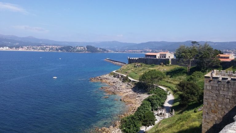 Bayona