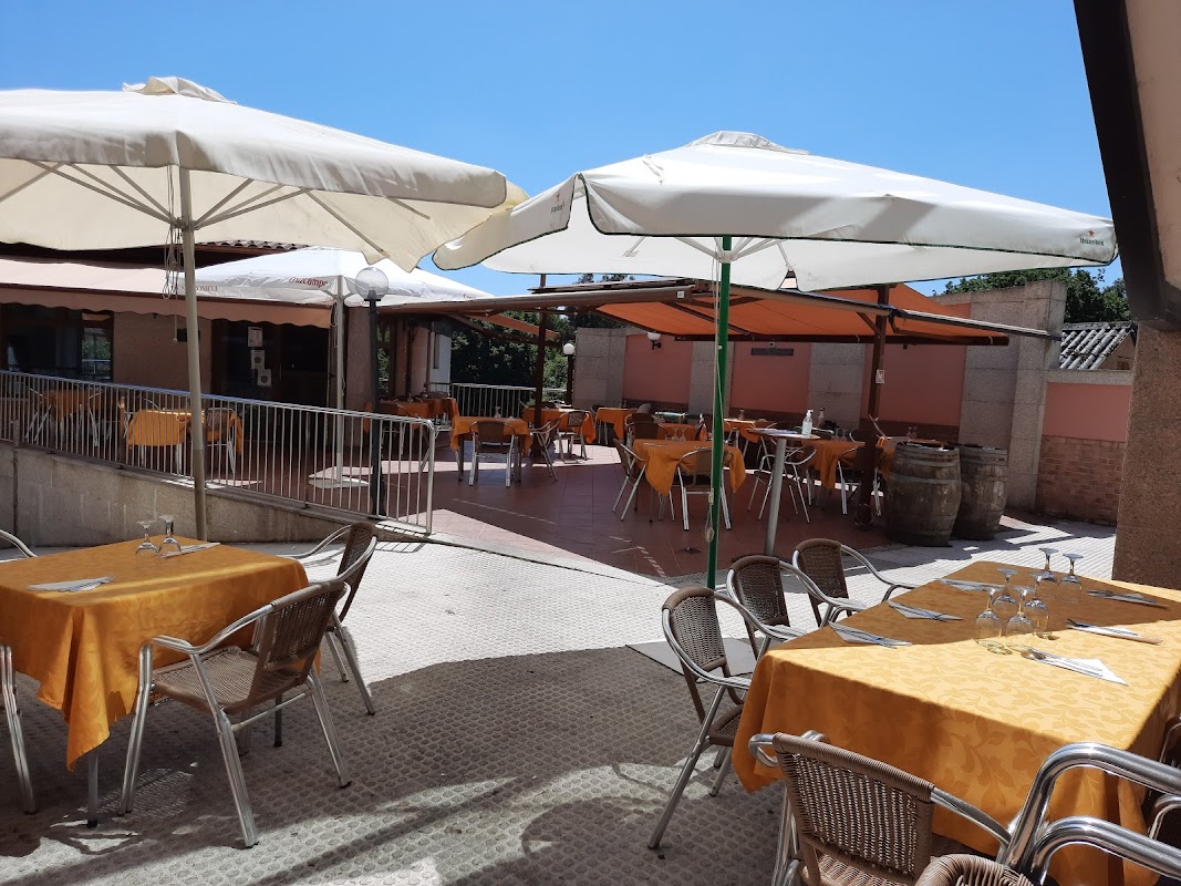 Bosque, El - portada