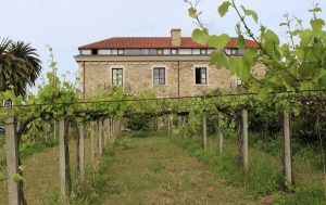 Canónigo de Galegos