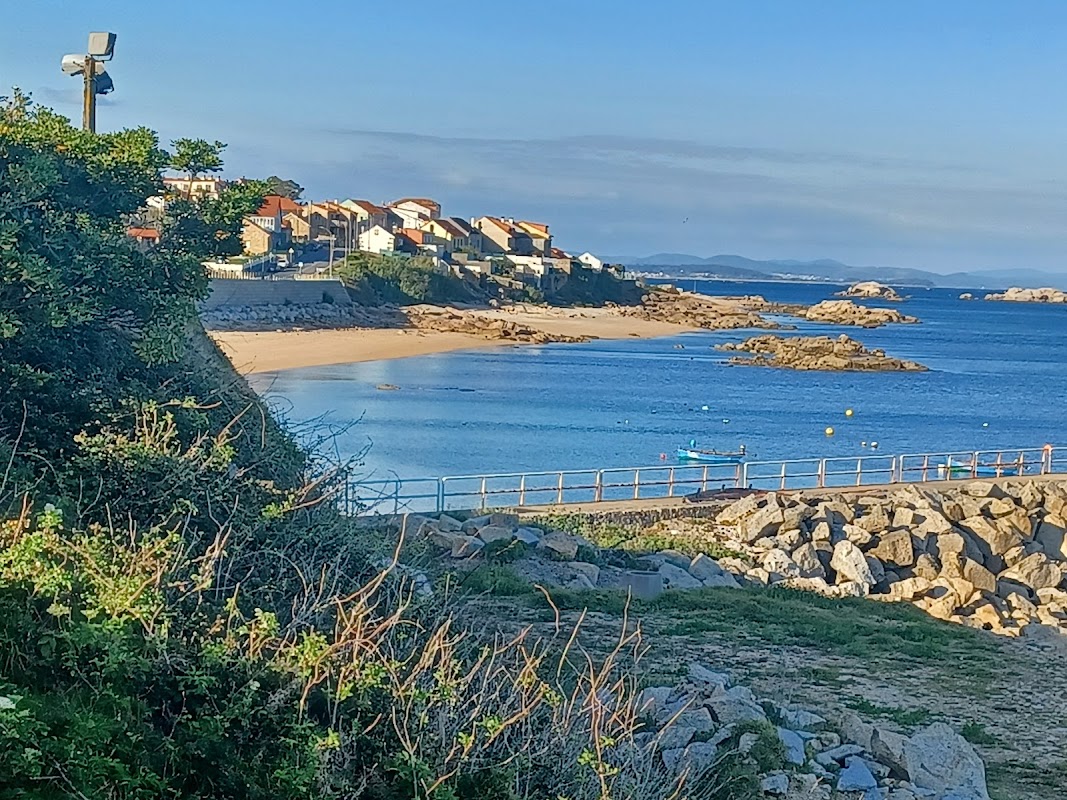 Castiñeiras - portada