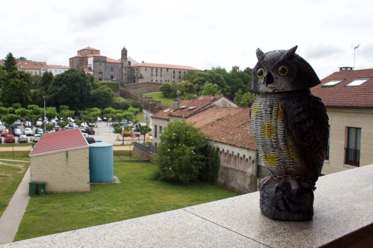 Miradoiro de Belvis