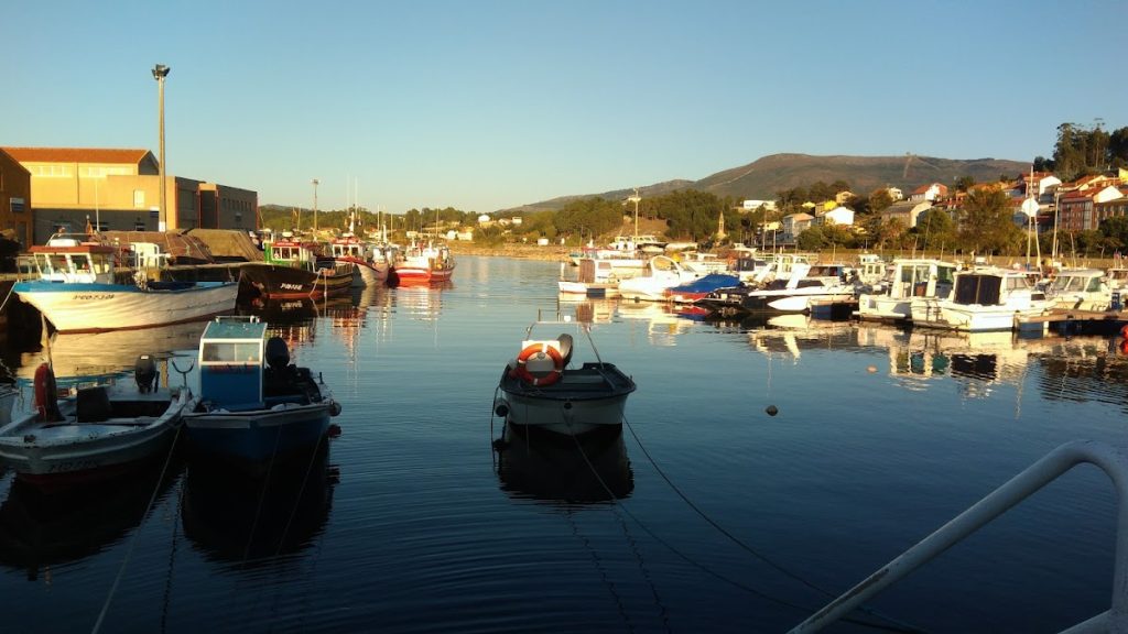 O Gastronómico Vila do Son