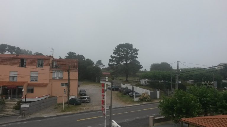 Pipo