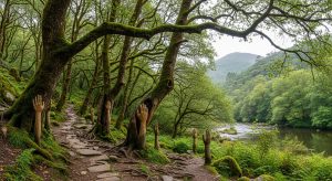 Ruta Máxica pola Fraga de Cecebre: Bosque das Mans, río Mero, reserva