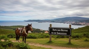 La Rapa das Bestas de Sabucedo: tradición y bravura en el monte gallego
