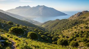 La Ruta del Teixo de Pena Trevinca: buscando el árbol milenario entre montañas
