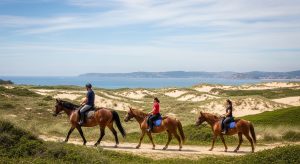 Travesía a caballo por las Dunas de Corrubedo en primavera
