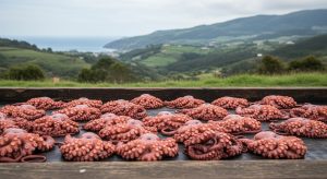 Feria del pulpo en Carballiño: historia, recetas y secretos de un plato mítico