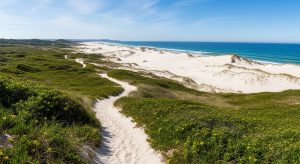 Sendeiro de O Vicedo á Praia das Areas Brancas: cantís brancos na Mariña