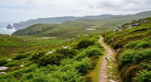 Ruta da Serra de Lara: turfeiras e paisaxe kárstica na comarca do Deza