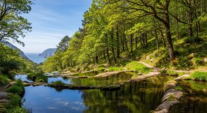 Sendeiro do Río Tea: piscinas naturais e bosque autóctono