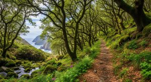 Ruta dos Encantos da Fraga de Cecebre: bosques e biodiversidade