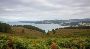 Descubre el Parque Natural Fragas do Eume en otoño