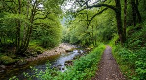 Ruta do río Mero en Ordes: unha pleasant camiñada fluvial