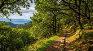 Ruta de leyendas y misterio por las corredoiras de Ourense