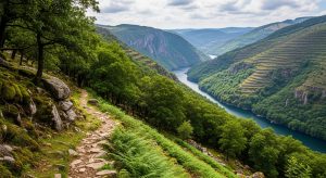 Percorrido polas Arribas do Sil desde Parada de Sil