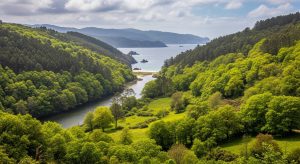 Ruta del verde por el valle del río Eo en primavera