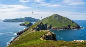 Escapada a las islas Sisargas: observación de aves marinas