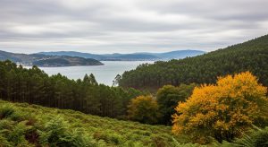 Escapada a la fraga de Celeiro en autumn