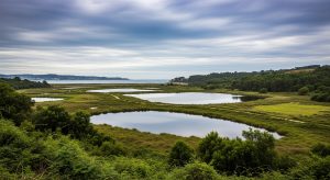 Escapada a las lagoas de Antela en invierno