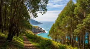 Ruta do eucalipto en las rías baixas