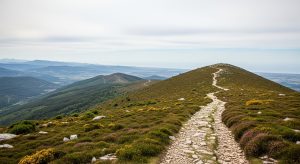 Ascensión ao Pico de Cervelliño: as vistas do Bierzo galego
