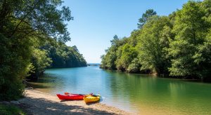 Escapada al río Tea en kayak en verano