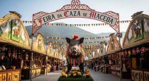 Feria de la Caza en Maceda: monte, jabalí y tradición ourensana