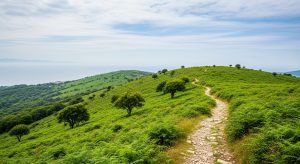 Travesía do macizo do Galiñeiro: o pulmón verde entre Vigo e Porriño