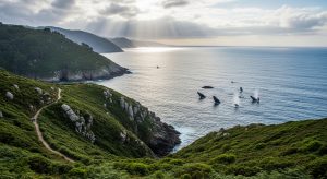 Descubre el mejor avistamiento de cetáceos en la estación de año