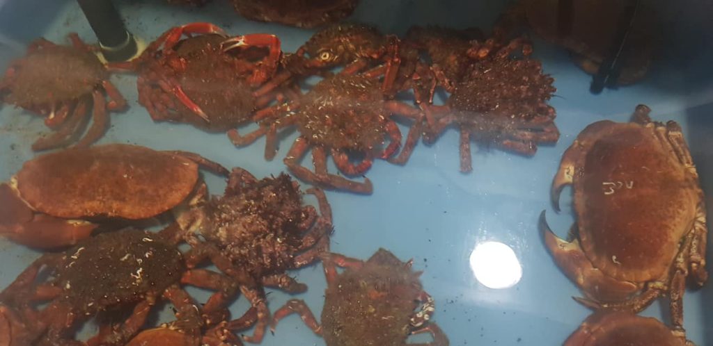A Casa do Peixe