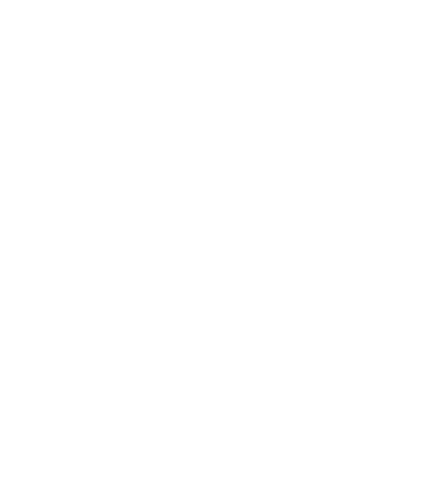 Camino de Santiago