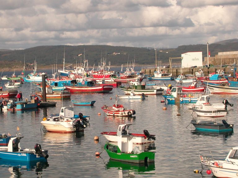 Mariquito