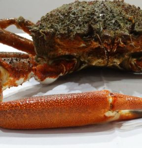 Restaurante Alborada