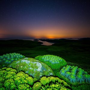 Noche de estrellas en el Parque Nacional das Illas Atlánticas