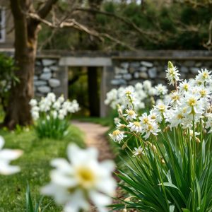 Primavera en los jardines del Pazo de Oca: el “Versalles gallego” en flor