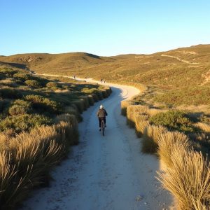 Rutas ecuestres entre playas vírgenes de A Mariña Lucense
