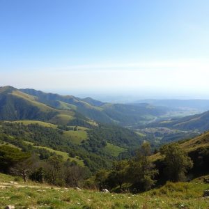 Travesía por los Montes de Forgoselo: turberas, leyendas y panorámicas