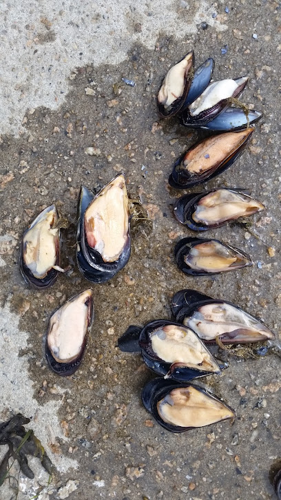 O Xantar de Mónica - portada