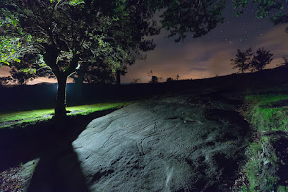 Parque Arqueolóxico da Arte Rupestre - portada