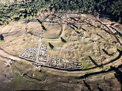 Parque Arqueoloxico da Cultura Castrexa - portada