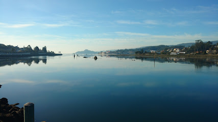 Simón, Casa - portada