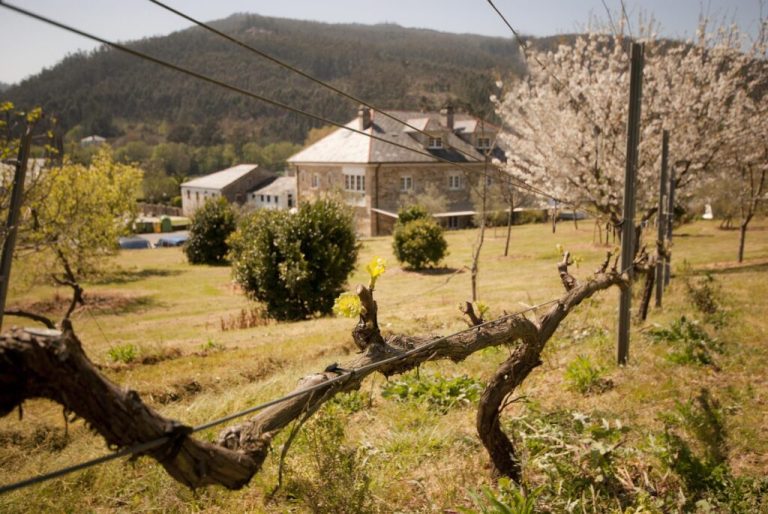 Asador As Viñas