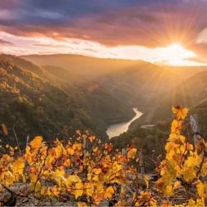 Apartamentos Río Sil