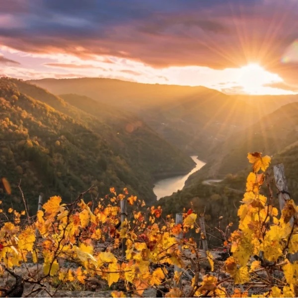 Apartamentos Río Sil