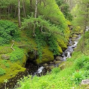 Ruta dos muíños do Río Mandeo: patrimonio industrial nas Mariñas