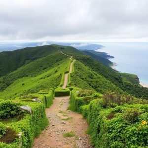 Sendeiro das catro provincias: un camiño que une Galicia